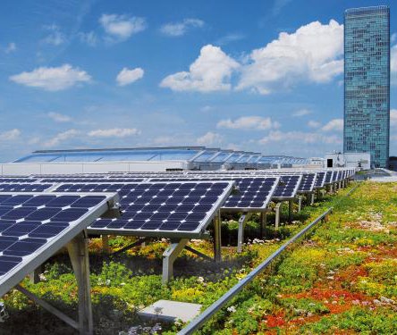  Bio-solar Rooftops